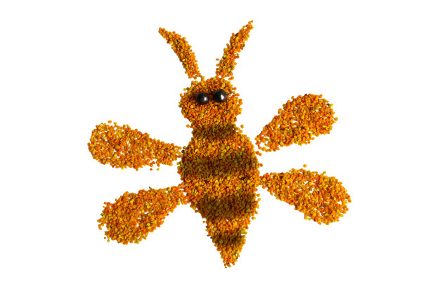 一种有趣的小蜜蜂，由在白色背景上分离的一堆新鲜花粉制成图片下载