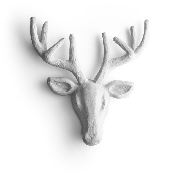 纸鹿头装饰奖杯孤立在白色的背景图片下载