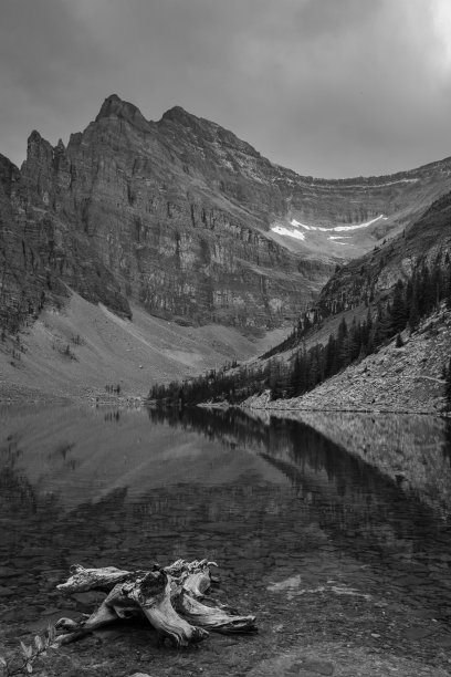 这是加拿大班夫国家公园的阿格尼斯湖的低水平肖像照片，背景是群山，前景是死树根，黑白两色图片下载