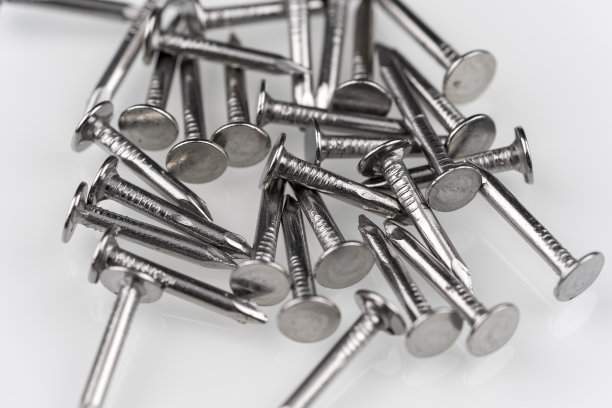 指甲组宏视图图片下载