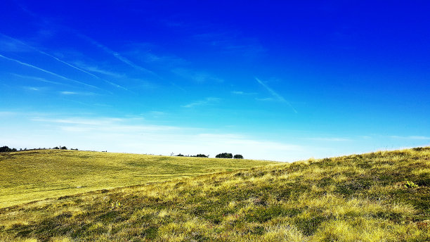在阿尔萨斯特写图片下载