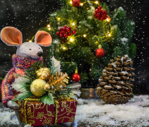 2020年新年的标志是鼠标。带着一盒礼物，有冷杉蛋筒、云杉树枝和雪花。图片下载