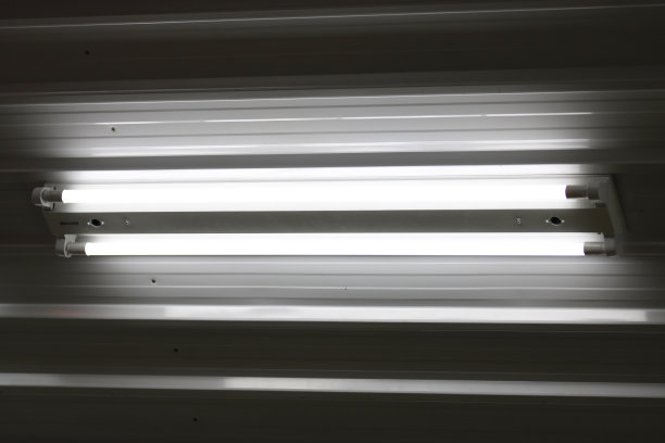 黑白视灯泡工厂内的霓虹灯灯泡图片下载