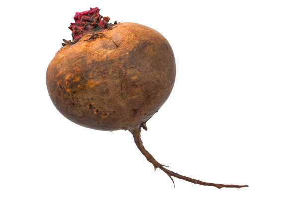 甜菜根3d渲染与现实的纹理隔离在白色的背景图片下载