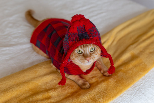 有我完美的秋天时刻图片下载