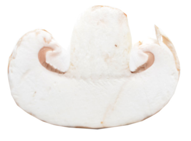 孤立的切片蘑菇图片下载