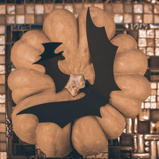 新鲜南瓜，黑色雕刻蝙蝠，俯视图，传统装饰，万圣节节日象征图片下载