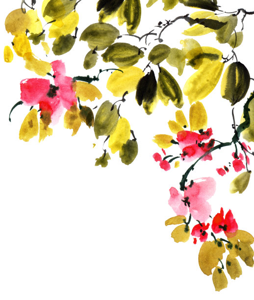 盛开的樱花树枝图片下载