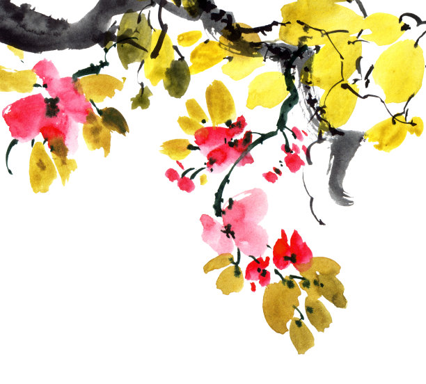 盛开的樱花树枝图片下载