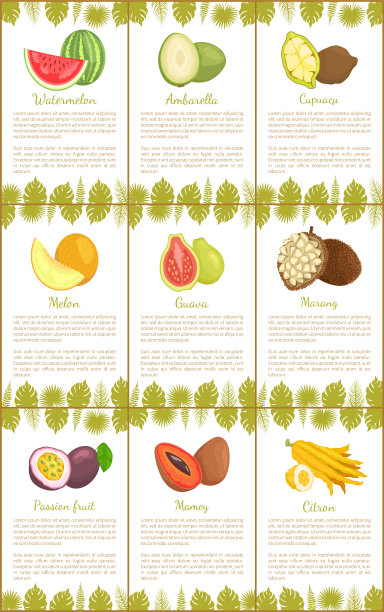 西瓜莲、古柏瓜、番石榴、玛朗图片下载