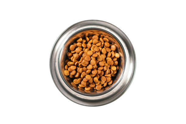 猫粮或狗粮在盘子上孤立白色。干燥的食物。图片下载