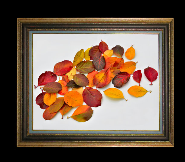 古色古香的木框里，五彩缤纷的秋叶图片下载
