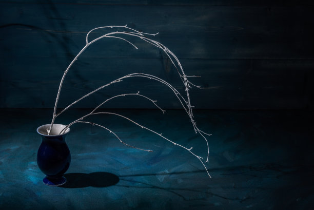 深蓝色背景上的陶瓷古董花瓶中的干白枝。图片下载