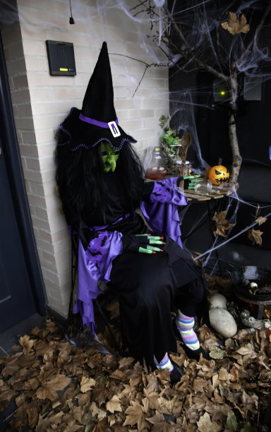 女巫在万圣节图片下载