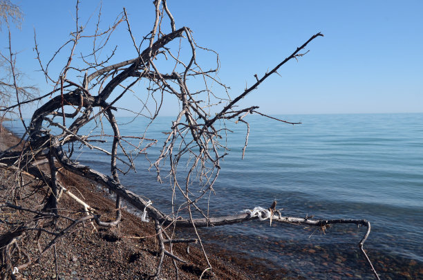 巴尔喀什湖，哈萨克斯坦中部图片下载