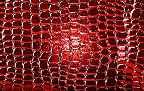 抽象图像的红色鳄鱼皮革，作为背景。黑暗的形象。图片下载