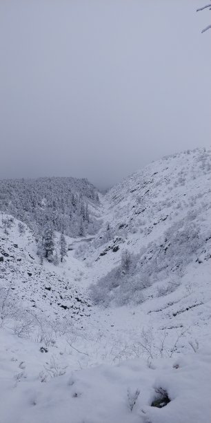 白雪皑皑的山谷图片下载