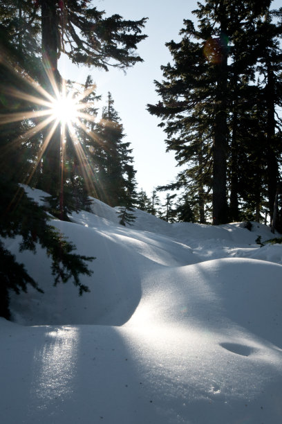 温哥华圣马可峰的雪鞋健行之旅图片下载
