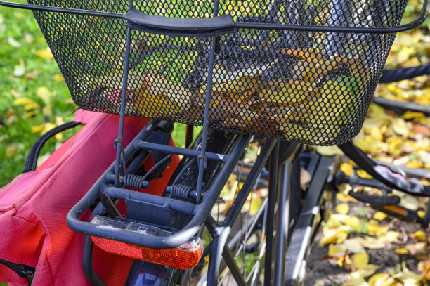 身后是一辆带着秋叶的自行车。图片下载