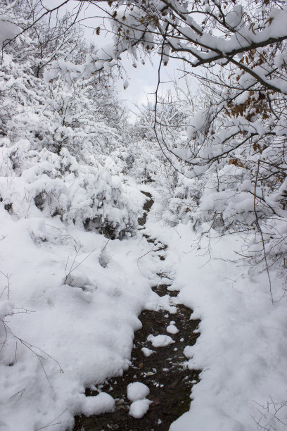 冬天的雪道在山上与结霜的树木合影。图片下载