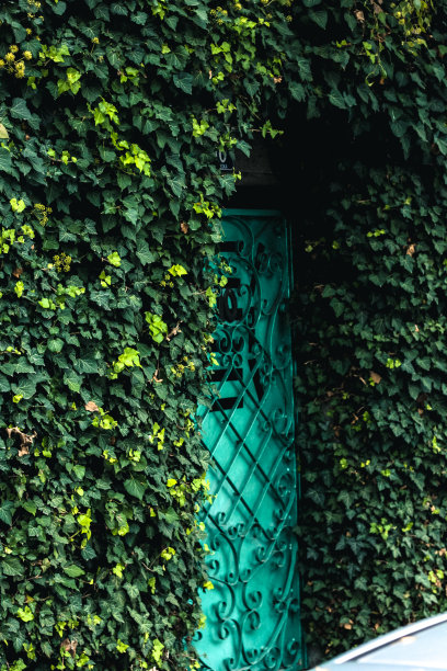 老式铁门特写图片下载