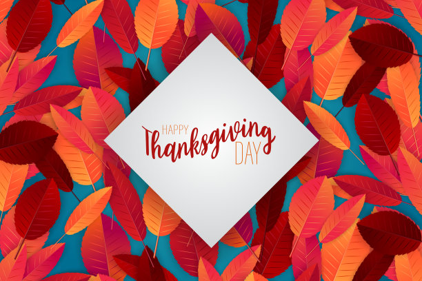 感恩节传单或海报。秋天是美国的传统节日。背景与枫树和橡树红色和橙色的叶子。矢量插图。图片下载