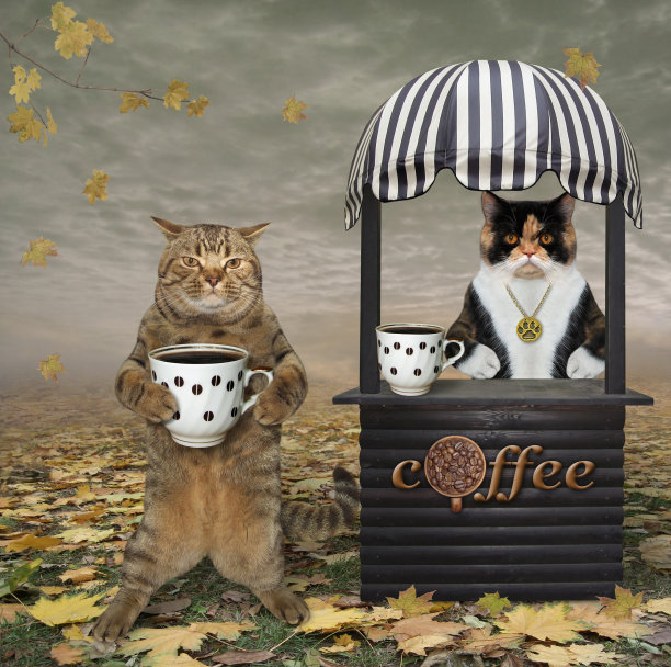 猫在公园买咖啡图片下载