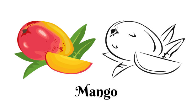 白色背景上孤立绿叶的芒果果实。彩色插图和黑白轮廓。卡通平面简约风格的异域热带水果整体和切片向量形象。图片下载