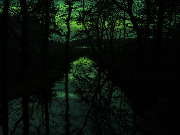 怪异的绿色夜视风格的照片池塘在树林图片下载