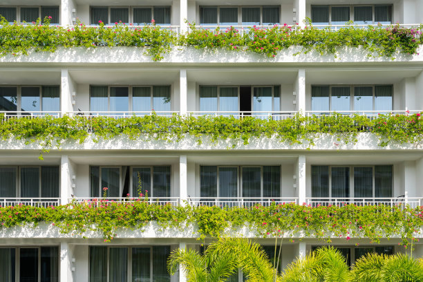 度假村的背景图片下载