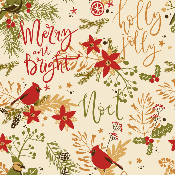 无缝图案与圣诞装饰元素-植物，树枝，鸟类。传统符号图片下载