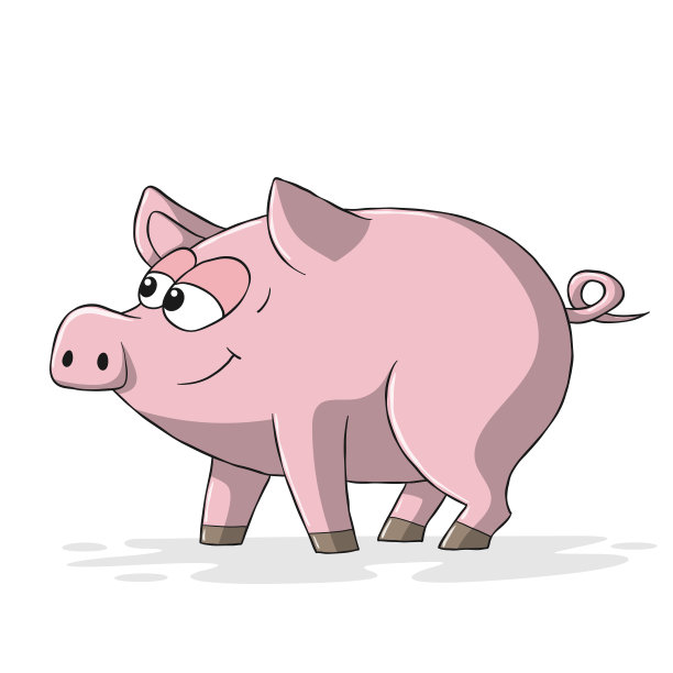 可爱的猪图片下载