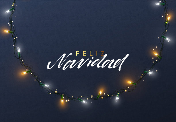 发光的圣诞灯花环的圣诞贺卡设计图片下载