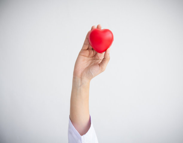 女医生手捧红心白底捐赠为医院护理理念。世界心脏日和世界卫生日，CSR社区，寄养支持患者。图片下载