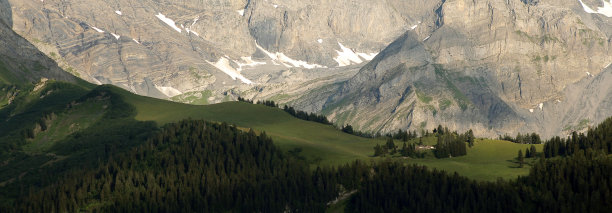 森林脊图片下载