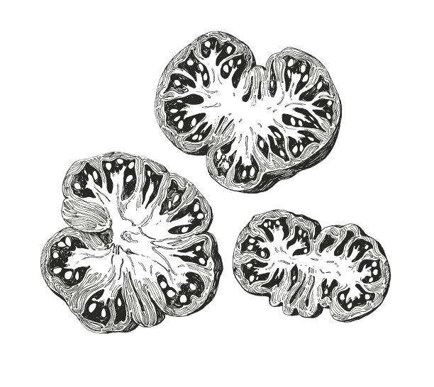 西红柿切牛排图片下载