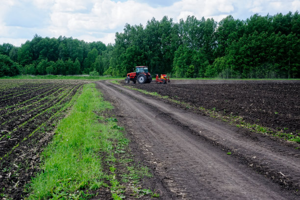 农民在田间播种庄稼图片下载