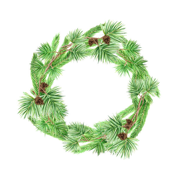 圣诞贺卡，海报，横幅的概念。圆形框架的松枝和球果在白色的背景，新年水彩手绘插图与文本的复制空间图片下载