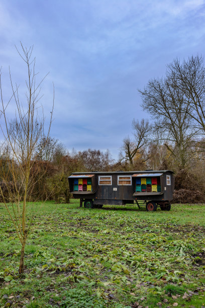 柏林自然保护区“Schoenerlinder Teiche”的移动蜂巢图片下载