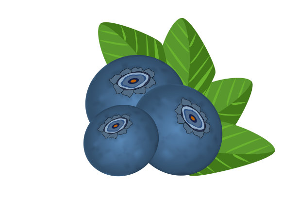 真实的蓝莓与树叶孤立在白色的背景。甜的水果。森林浆果。图片下载