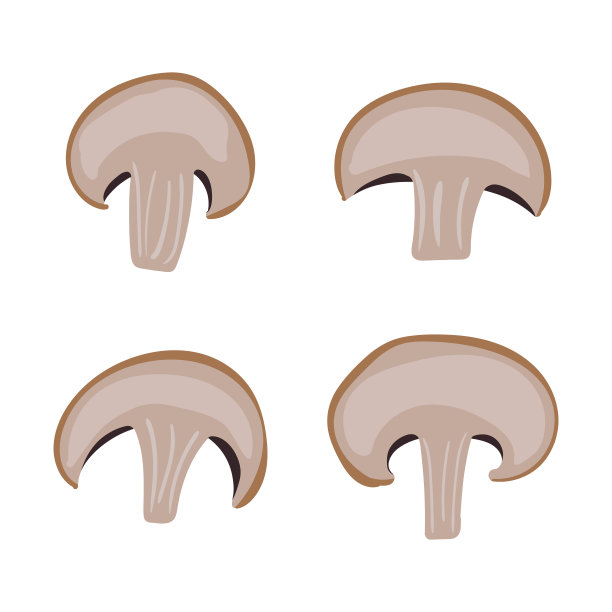 蘑菇。图片下载