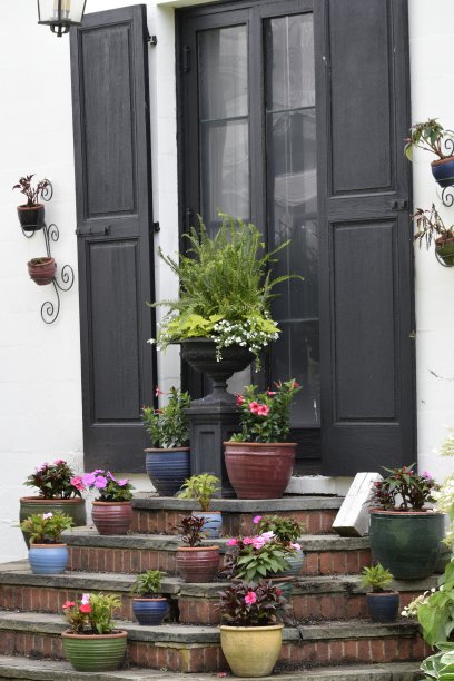 植物措施图片下载