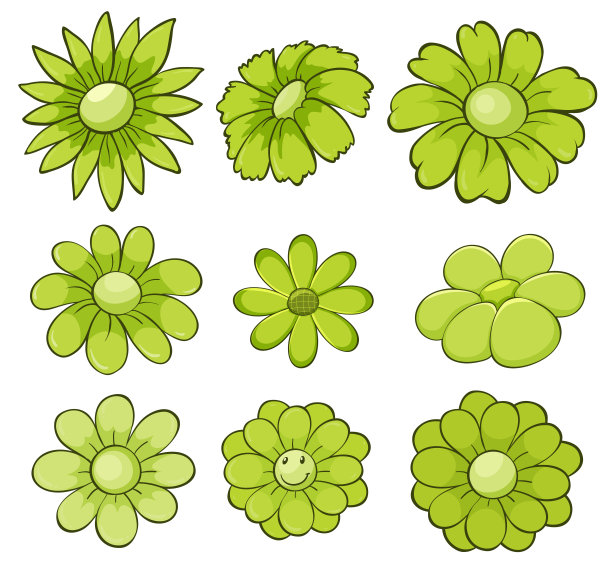 孤立的花在绿色图片下载