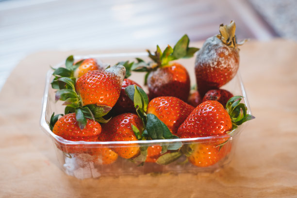 塑料盒子里发霉的草莓图片下载