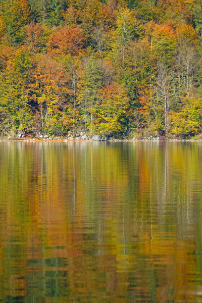 垂直:森林覆盖的山丘倒映在湖面上的美丽镜头。图片下载