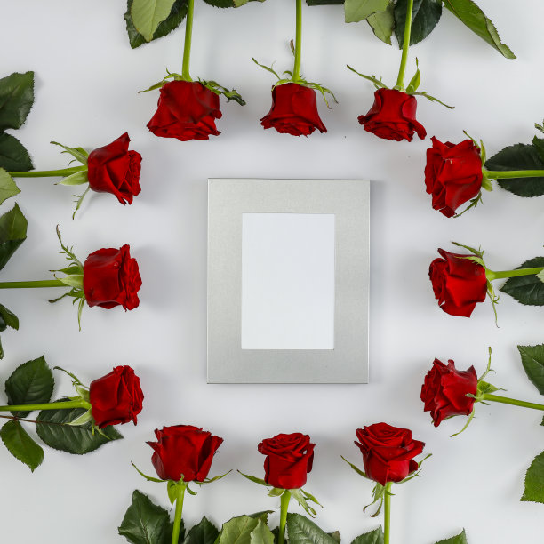 新鲜的红玫瑰在光滑的白色背景图片下载