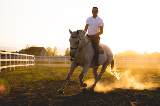 马和骑手享受这一天。库存图片图片下载