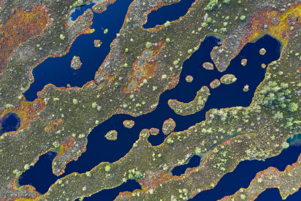 夕阳中的沼泽，金色的沼泽，湖泊和自然环境。夏天的日落黄昏图片下载