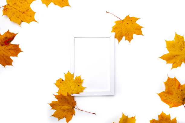 框架由美丽的秋天干树叶在白色的背景。秋天的概念。秋天的背景。平铺，俯视图，拷贝空间图片下载