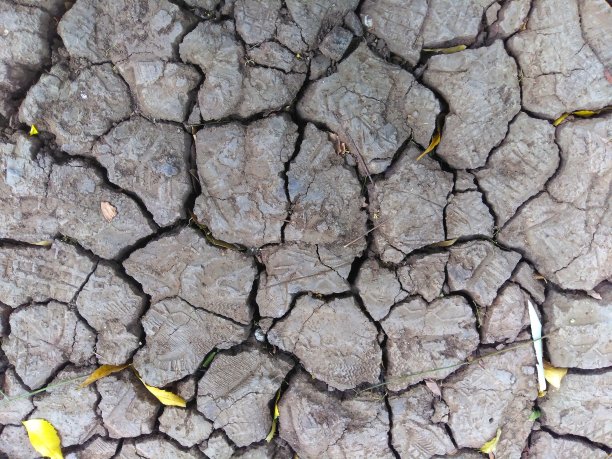 干燥开裂的地球。地球上的全球水资源短缺。全球变暖和温室效应的概念图片下载